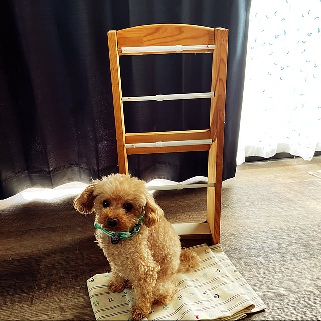 kuuさんの実例写真