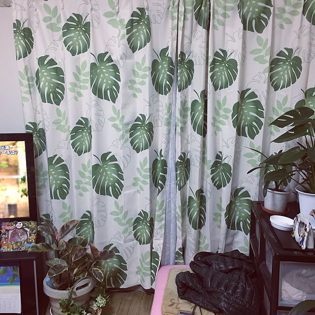 HauOliさんの実例写真