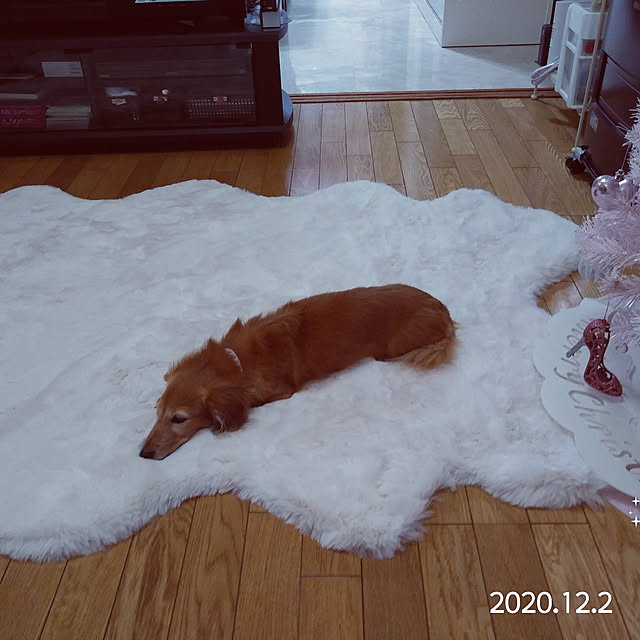 yamamotocooky8578さんの実例写真