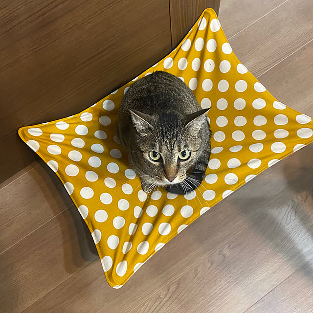 mikomaruさんの実例写真