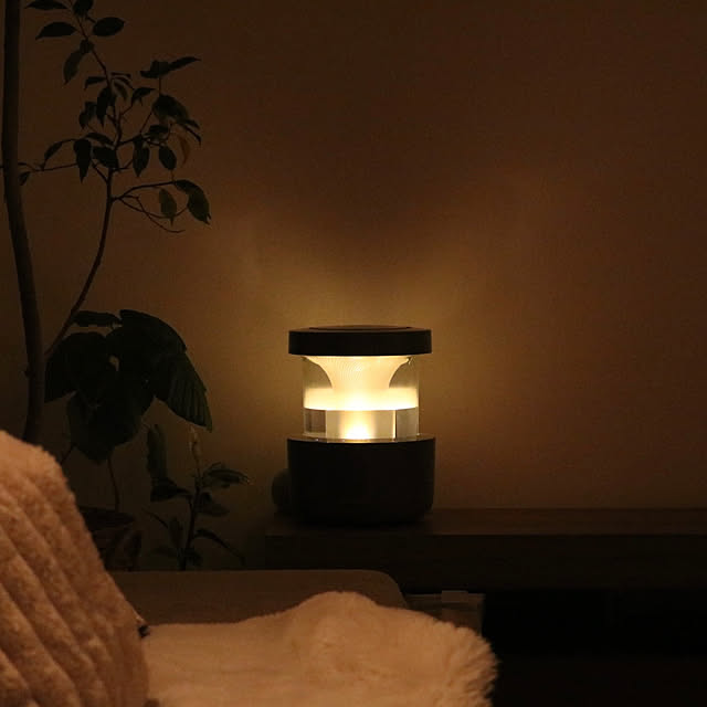 moimoiさんの部屋