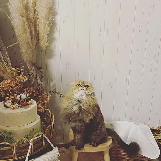 xxyumexx.roomさんの実例写真