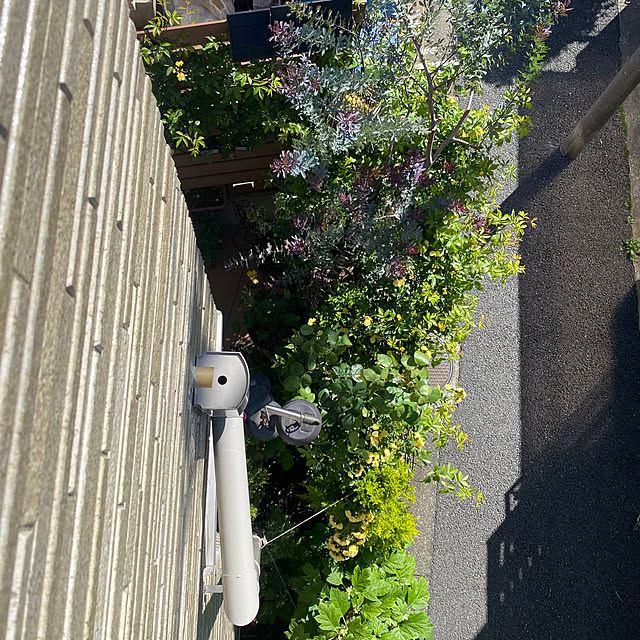fu-mufumuさんの部屋