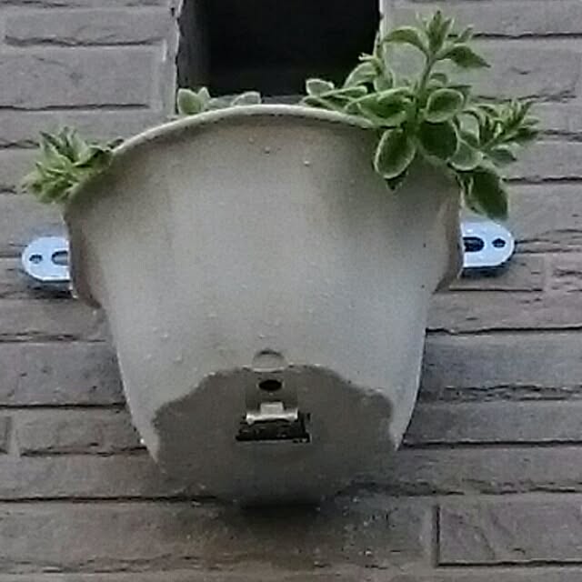 hideさんの実例写真
