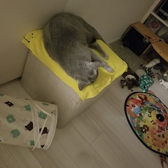 Kauruさんの実例写真