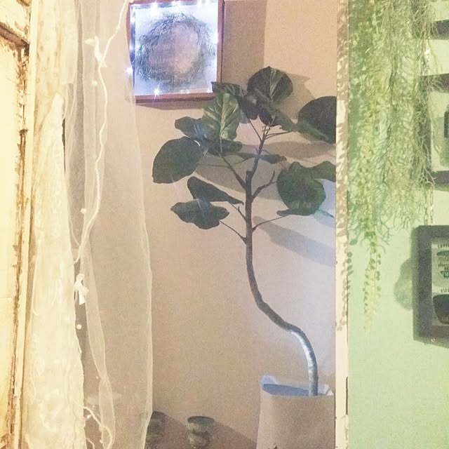 annさんの実例写真