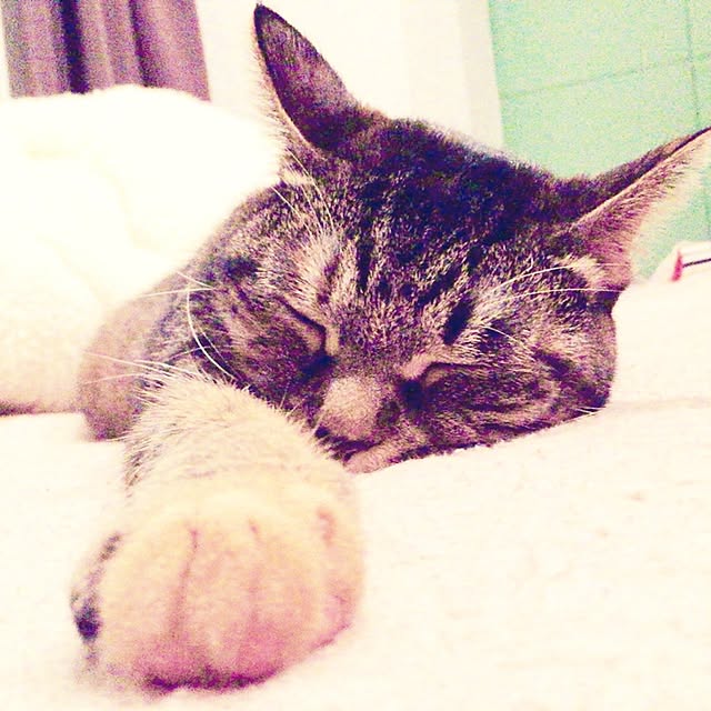 kuroさんの実例写真