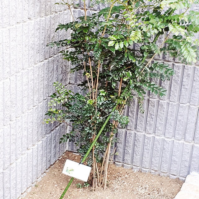 km0806さんの実例写真