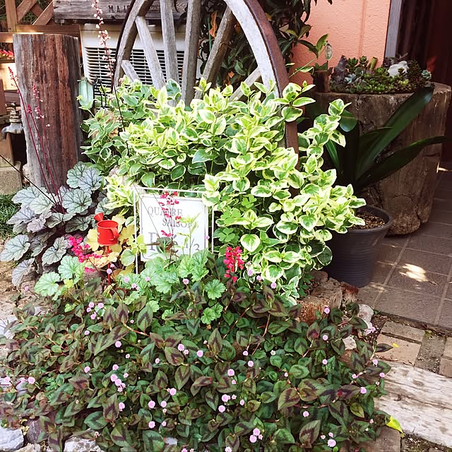 Hikariさんの実例写真