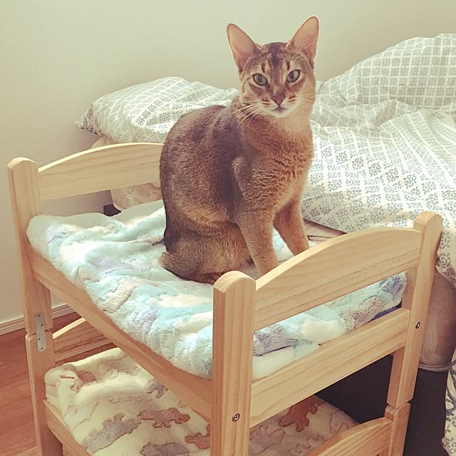 sakineko528さんの実例写真