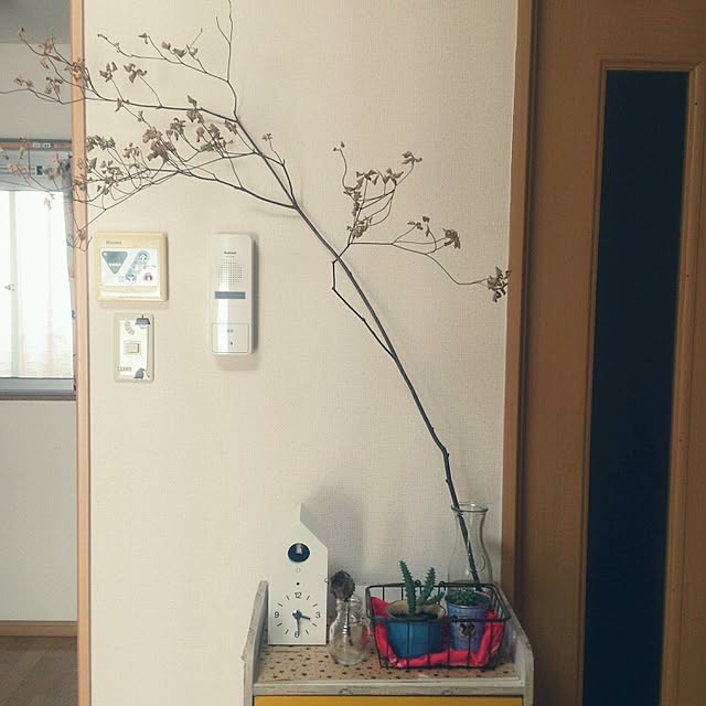 mar10.さんの実例写真