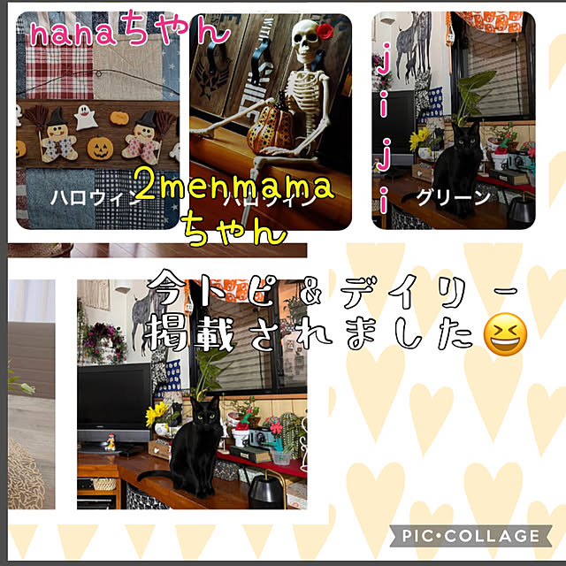 jijiさんの実例写真