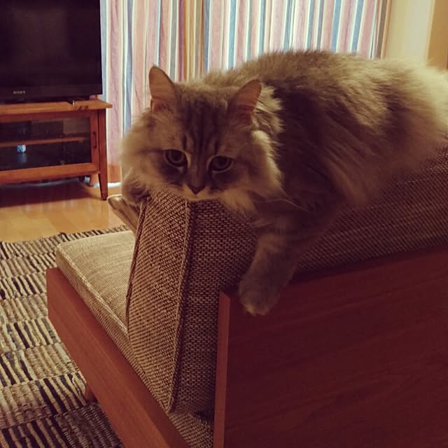 tetoさんの実例写真