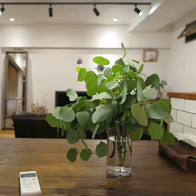 malco.Azukiさんの実例写真