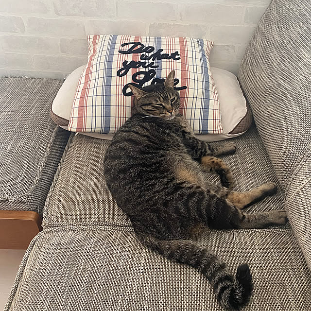 mmeeronさんの実例写真