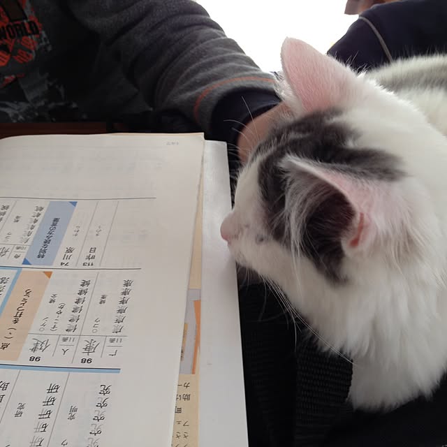 fuuさんの実例写真