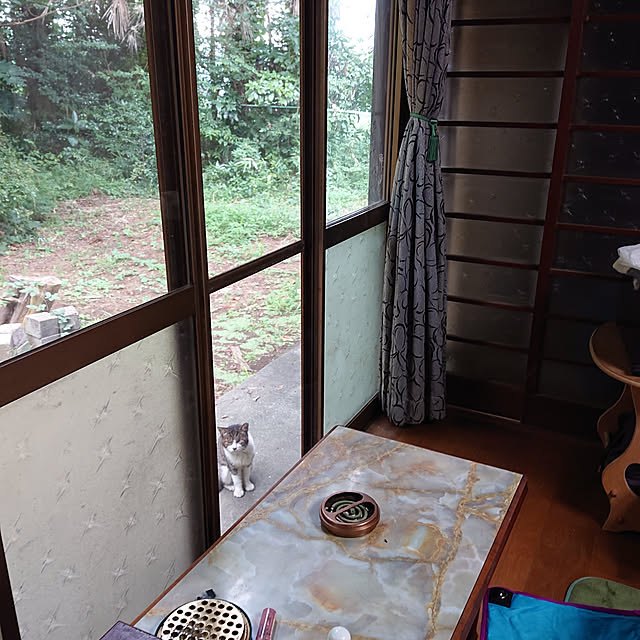 okyosan101さんの実例写真