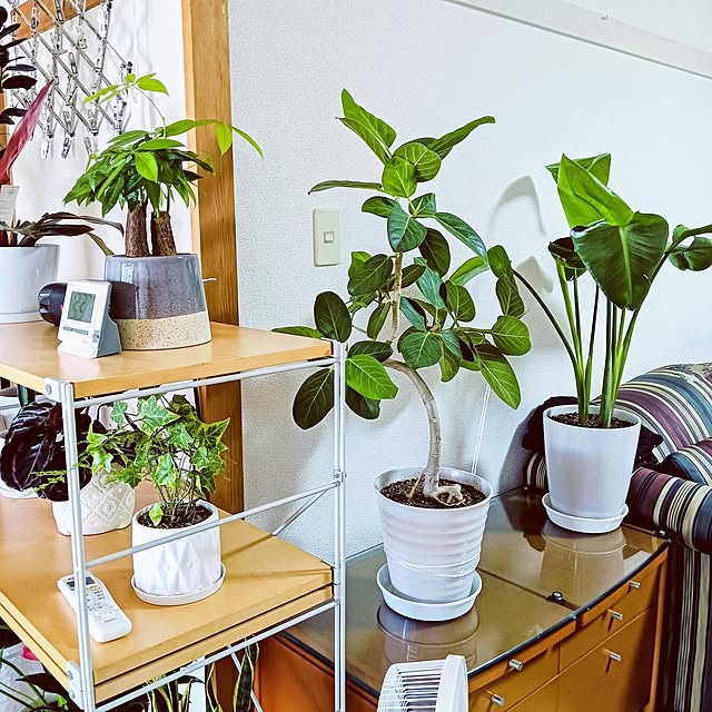 hanachanさんの部屋