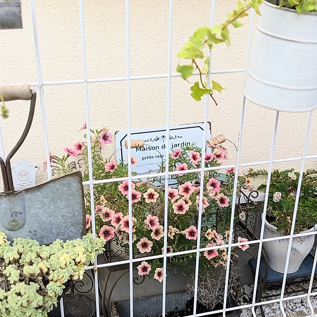 purpureさんの実例写真
