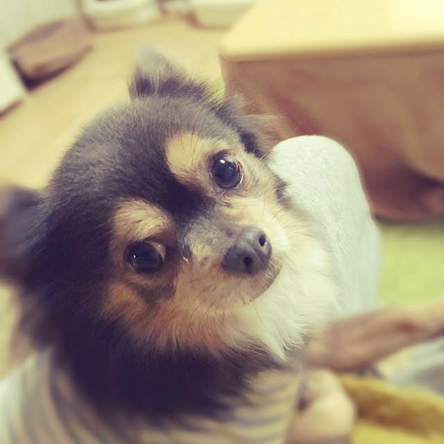 REINA612WORKSさんの実例写真