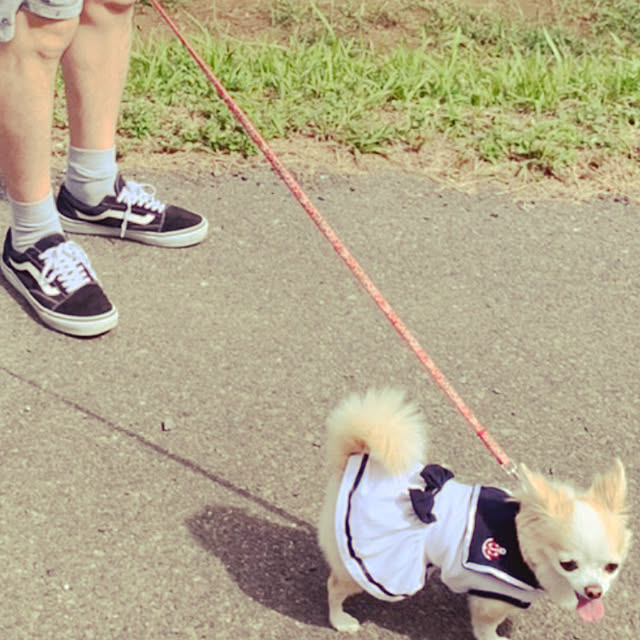 Sweetpeaさんの実例写真