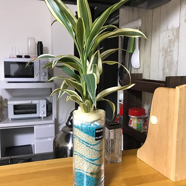 観葉植物/机のインテリア実例 - 2020-05-30 19:28:30