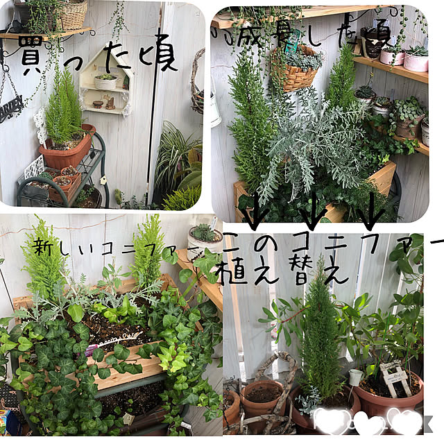 miiさんの実例写真