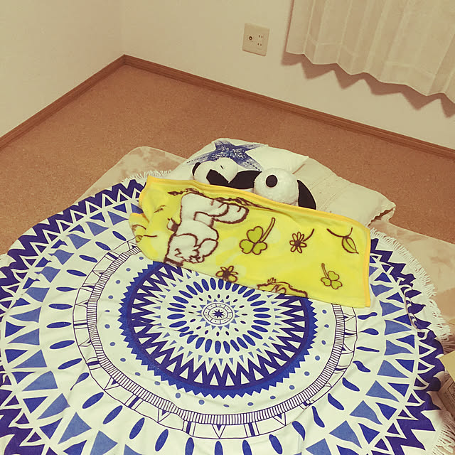 saoriさんの実例写真