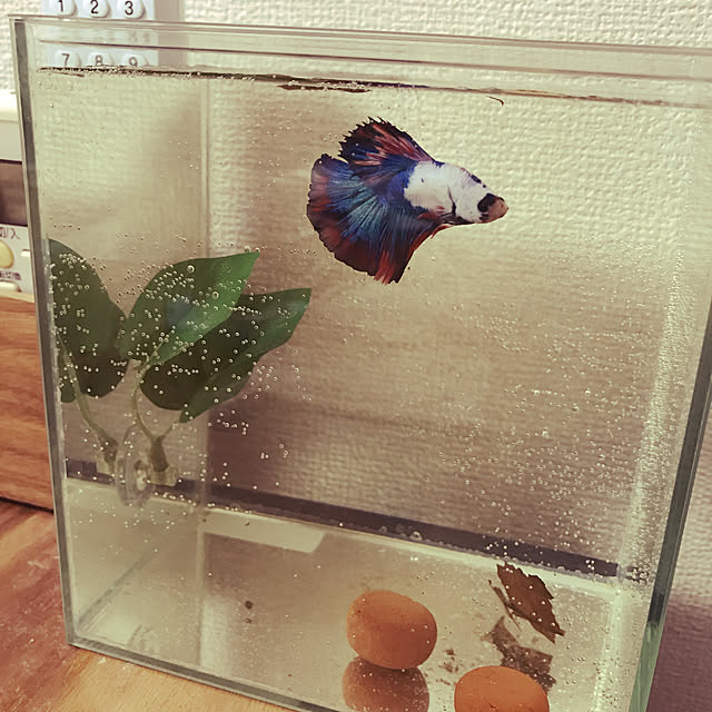 m.mさんの実例写真
