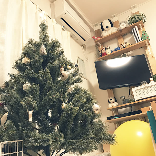 tamaeさんの実例写真