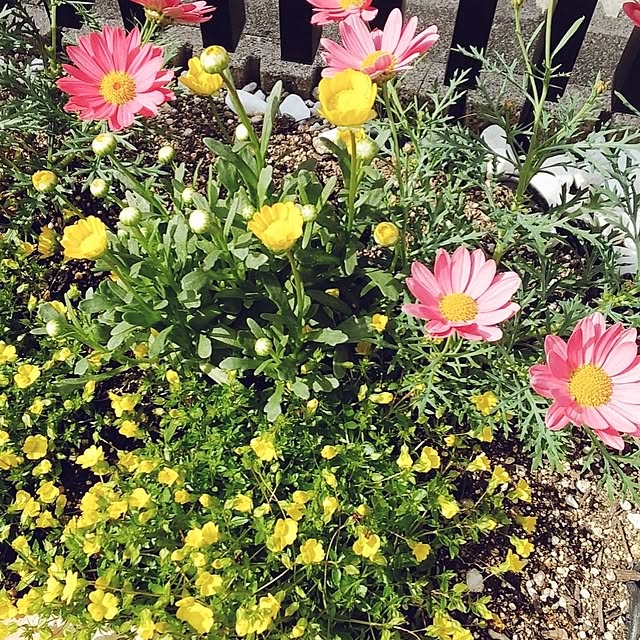 tomoさんの実例写真