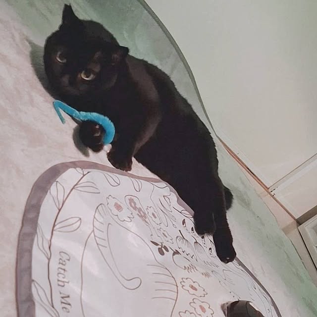 moko.7525himeさんの部屋