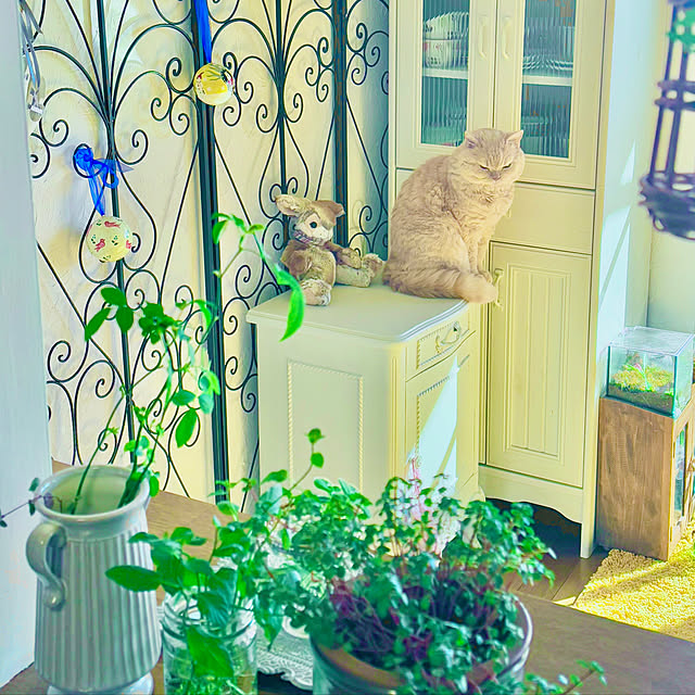 naokoさんの部屋