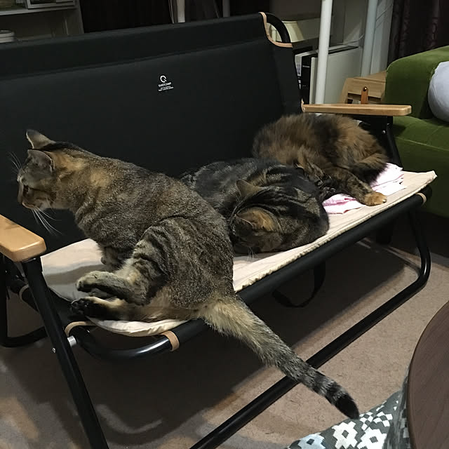 mikomaruさんの実例写真