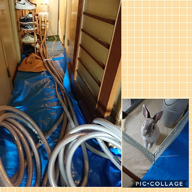yokomokoさんの実例写真
