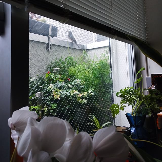jinさんの部屋