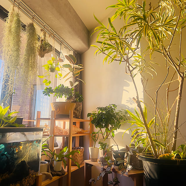 mima-slow-lifeさんの部屋