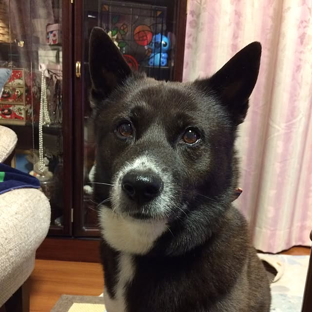 michaさんの実例写真