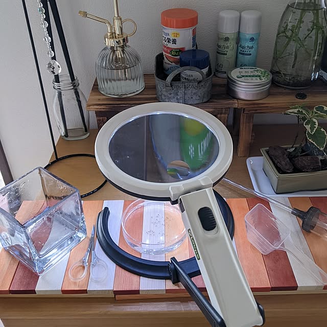mi-saさんの部屋