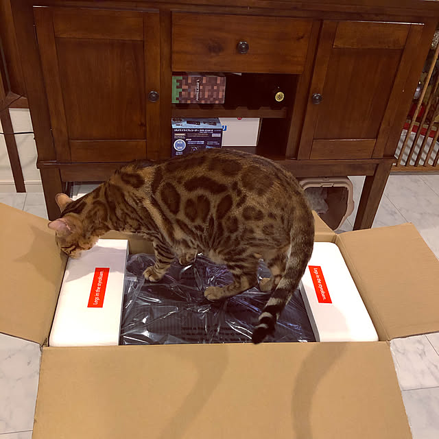 iranさんの実例写真