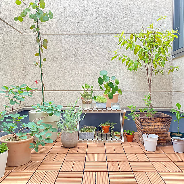 yu-rinさんの実例写真
