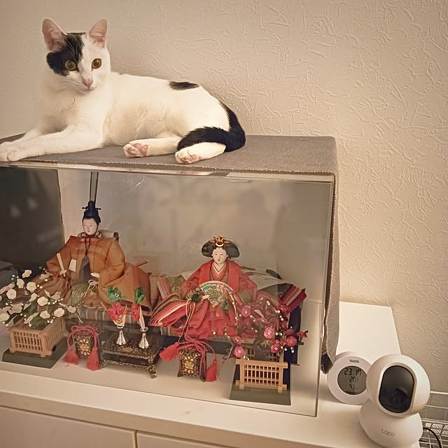 saki++さんの部屋