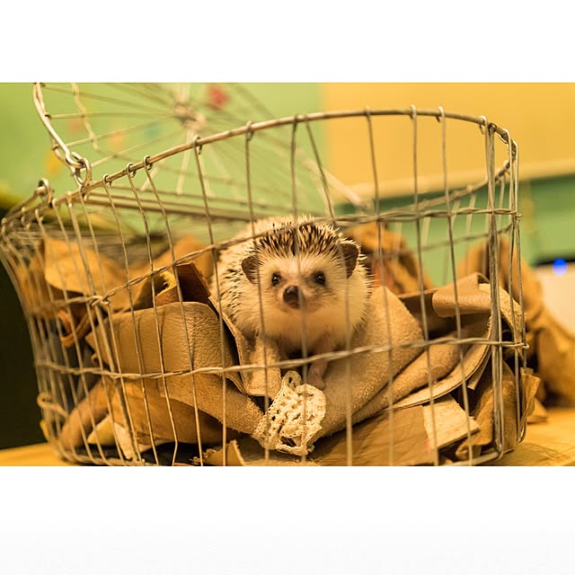 ctaさんの実例写真