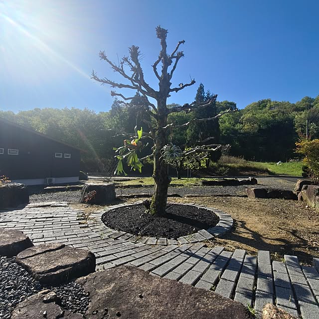 Rubiconさんの部屋