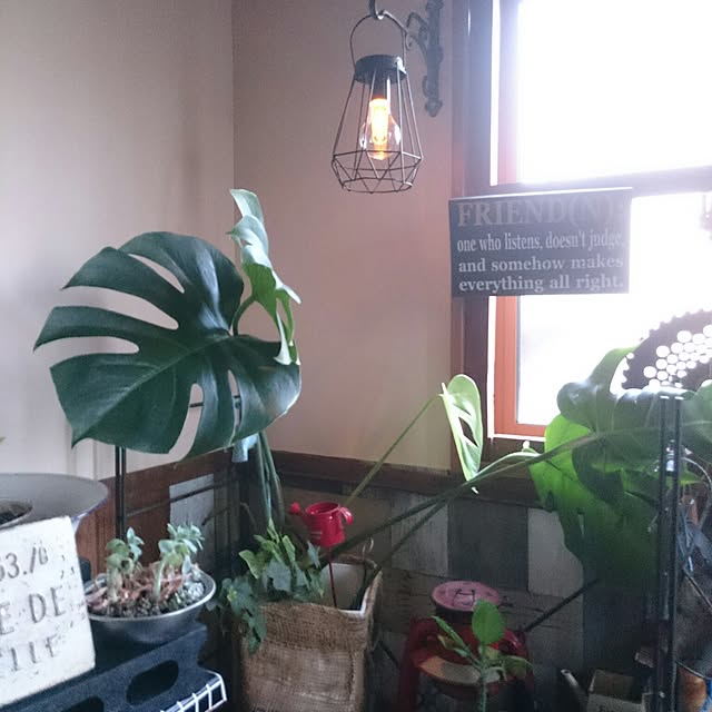 tikuwaさんの実例写真