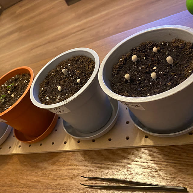 a.kaさんの実例写真