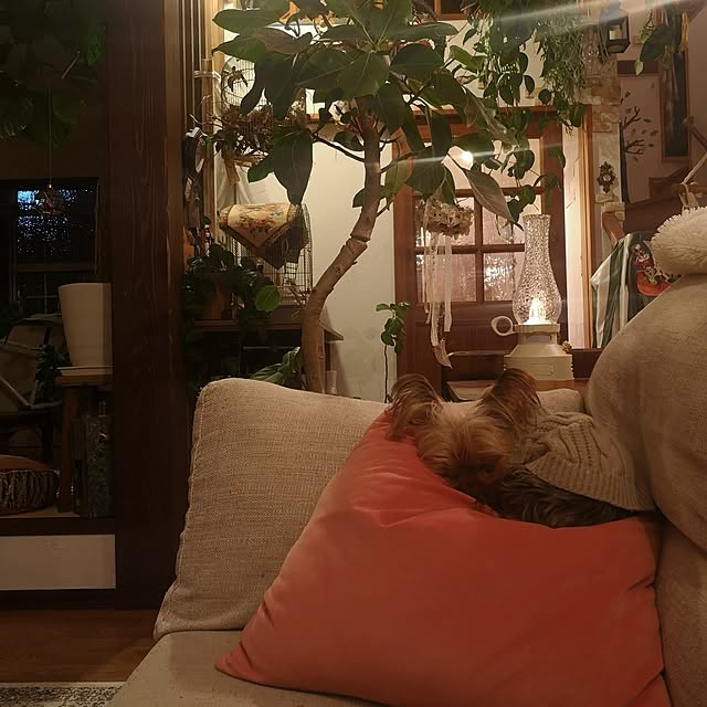 akiさんの部屋