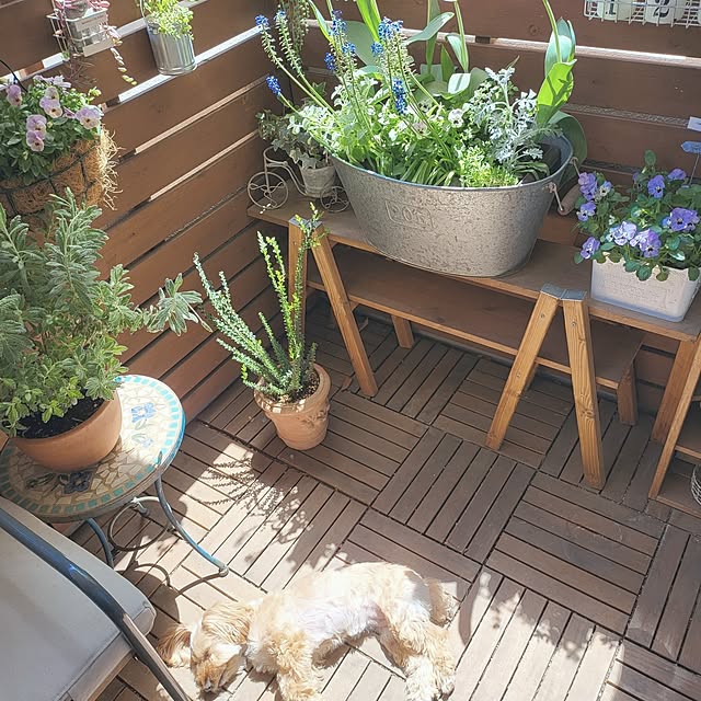 masumixさんの部屋