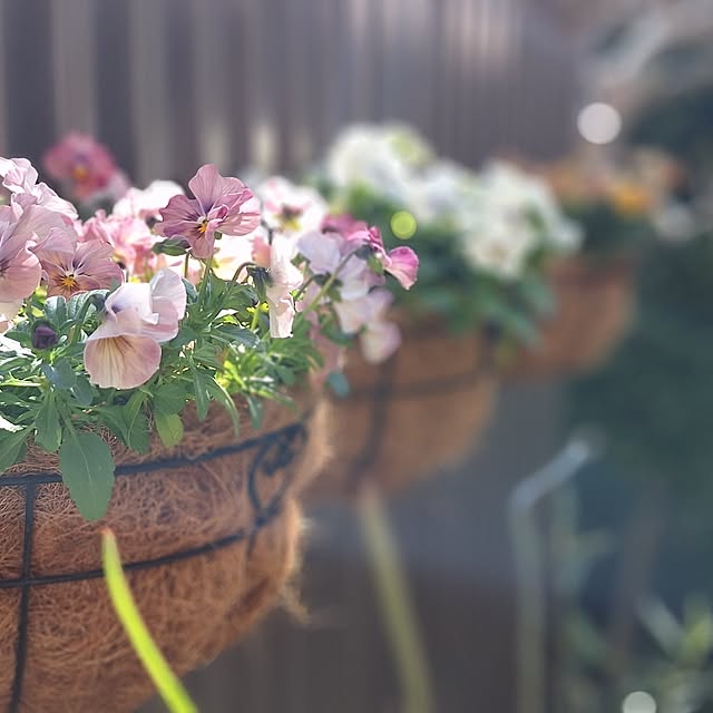 souさんの実例写真