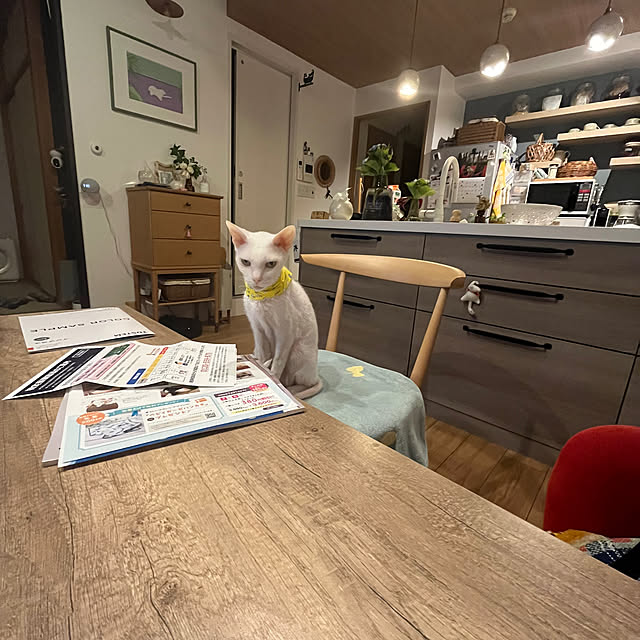 hanaさんの実例写真
